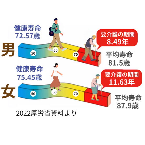 厚労省の健康寿命データ