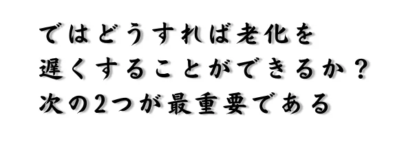 どうすべきかは2つある